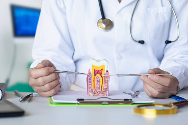 Best Urgent Care for Lost Fillings or Crowns in South Milwaukee, WI